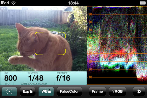Using the spotmeter mode to capture correct exposure